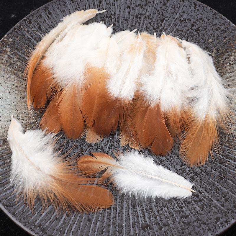 Mixed Color Chicken & Peacock Feathers for DIY Ornaments, Handicrafts, and Handmade Clothing Accessories.