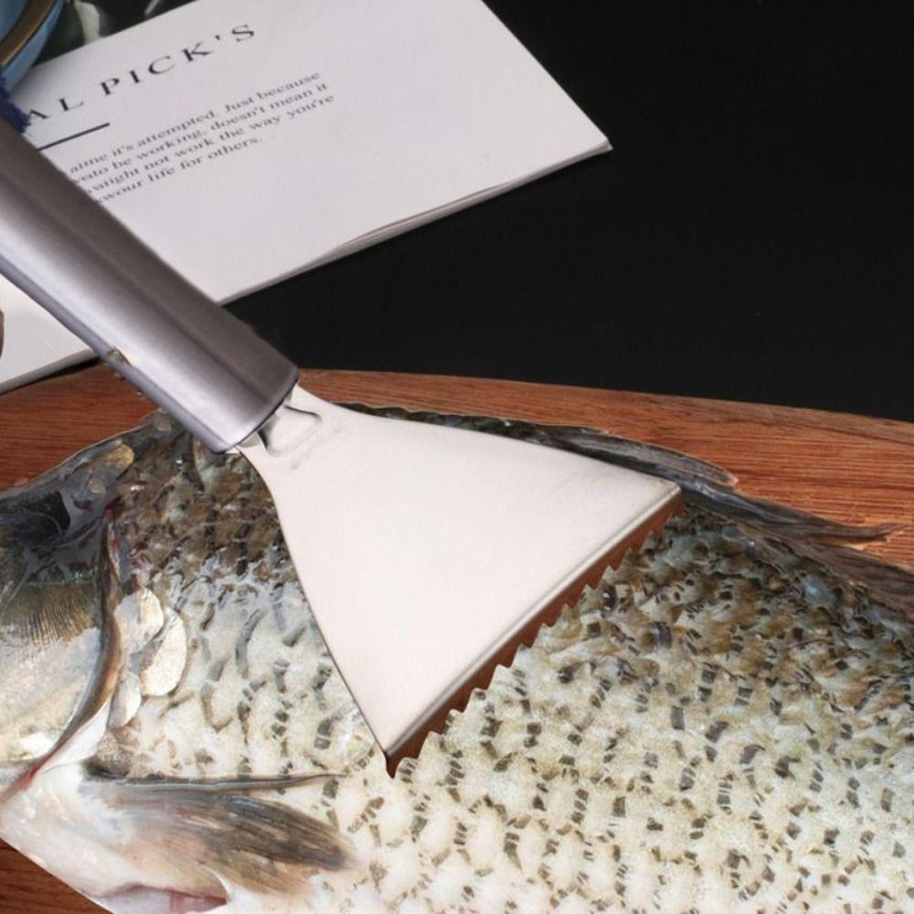 Smooth Handle Fish Scale Scraper Easy Maneuverability Seafood Tools  Kitchen Tools