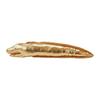 ADD. MATE Cat Toy Long Ikegurumi Golden Moray Eel