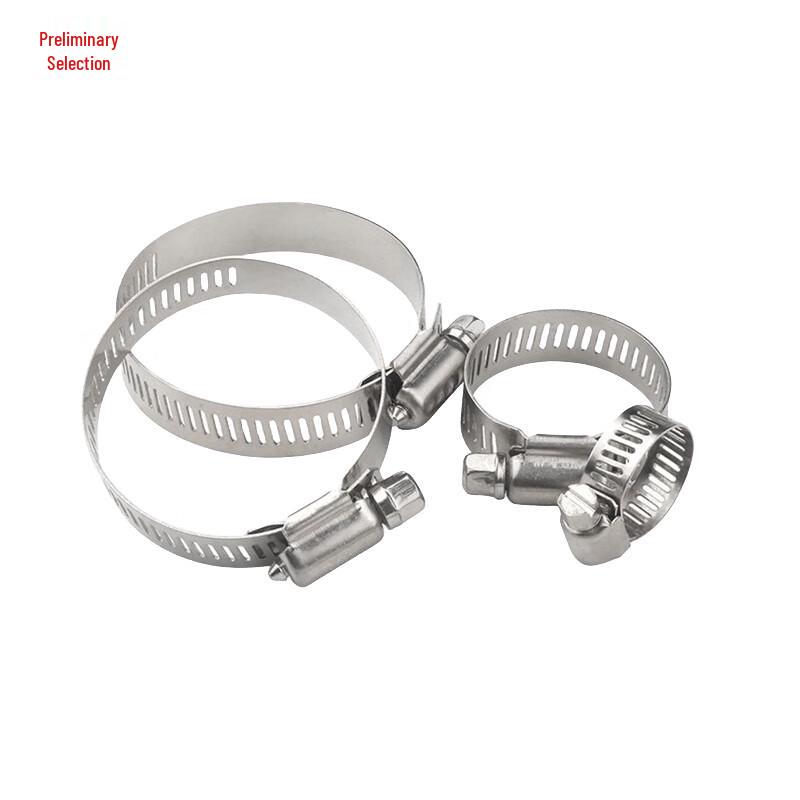 Stainless Steel Hose Clamps (20-Pack)
