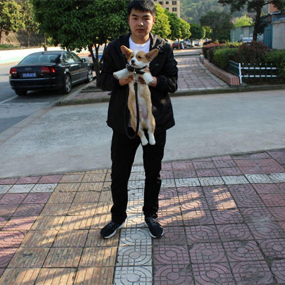 Animals & Pet Supplies > Pet Supplies > Pet Medical Collars