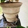 3 Stuks Dierlijke Plantenbak Pot Voetjes Weerbestendig Binnen Buiten Hond Kat Konijn Bloempot Houder Verhoger Lift Standbeeld Beeldje Resin Beeldhouwwerk