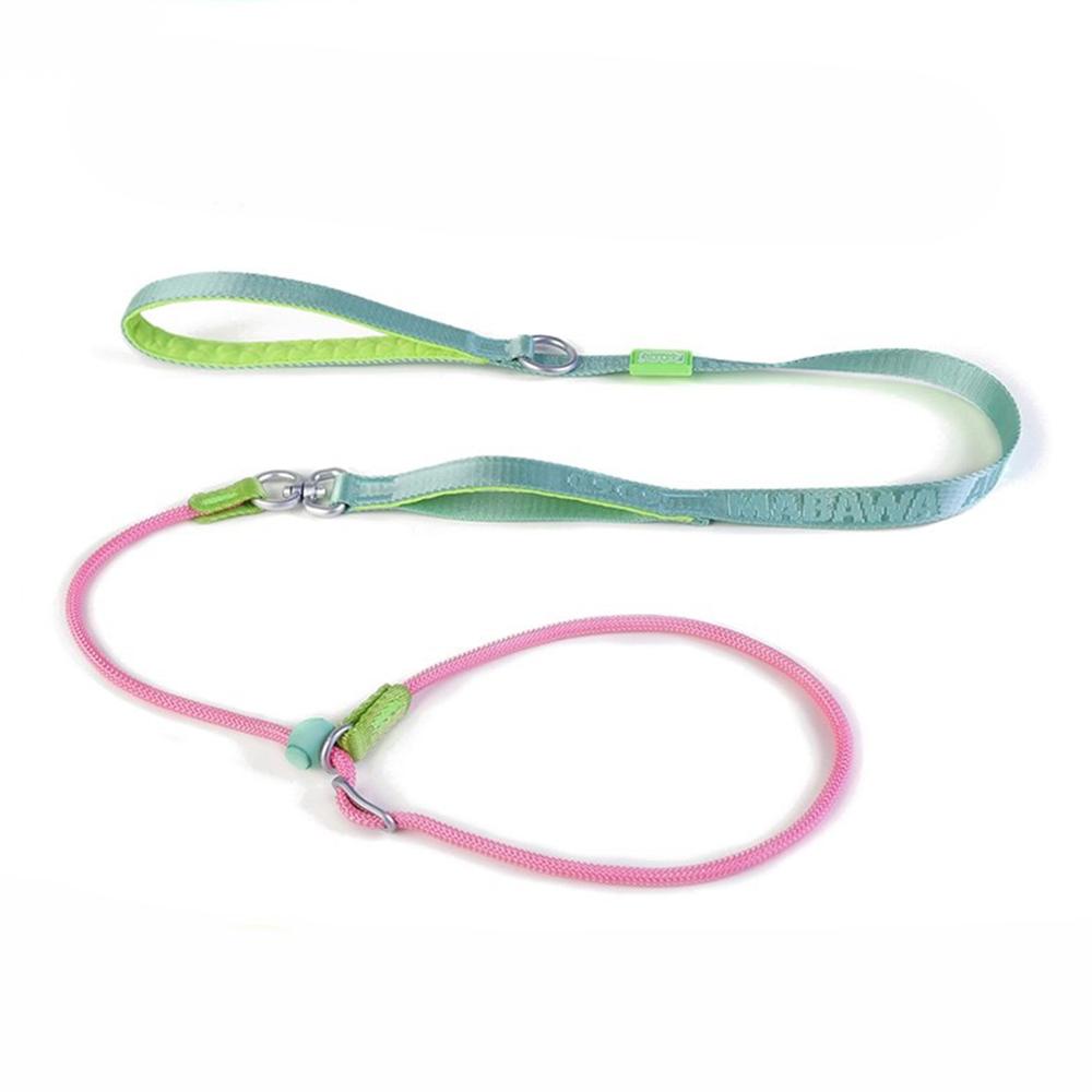 Leashes Pet Dog Choking Rope Leash Collar P-Shaped Chain Slip Lead Control Leash for Small Large Competition Dogs
