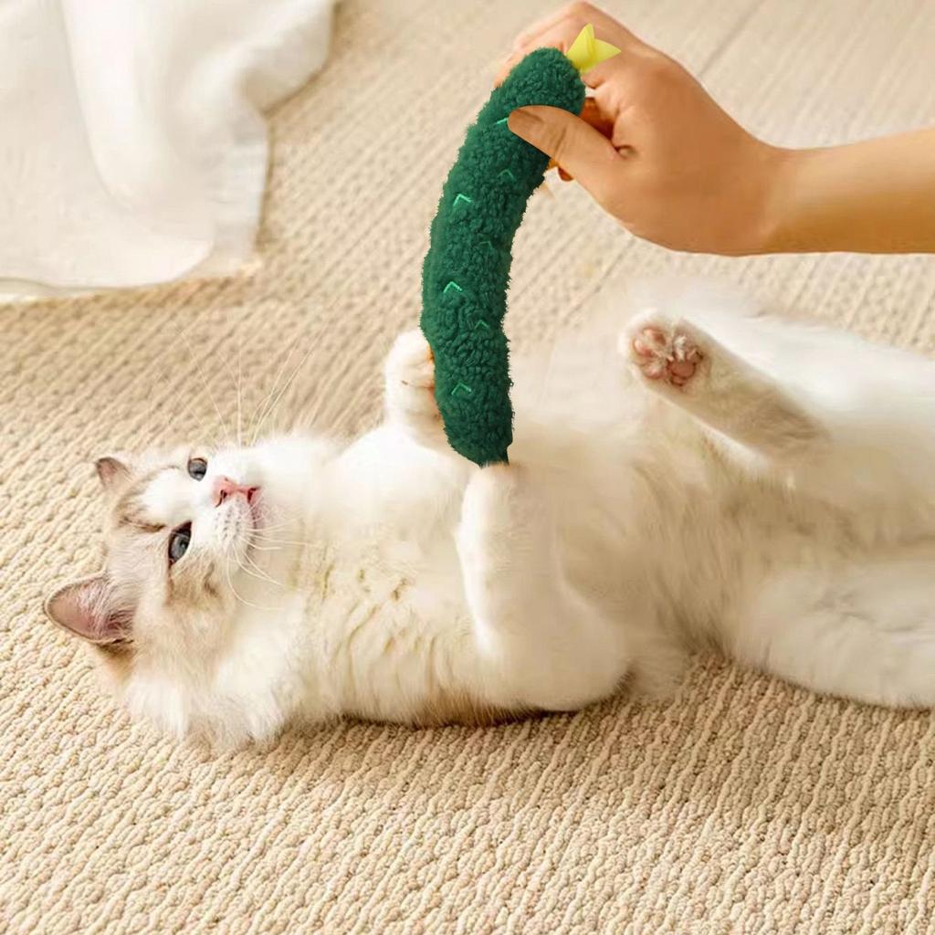 Karotte Gurke Katze Rassel Papier Spielzeug Simulation Gemüse Selbstunterhaltendes Haustierspielzeug
