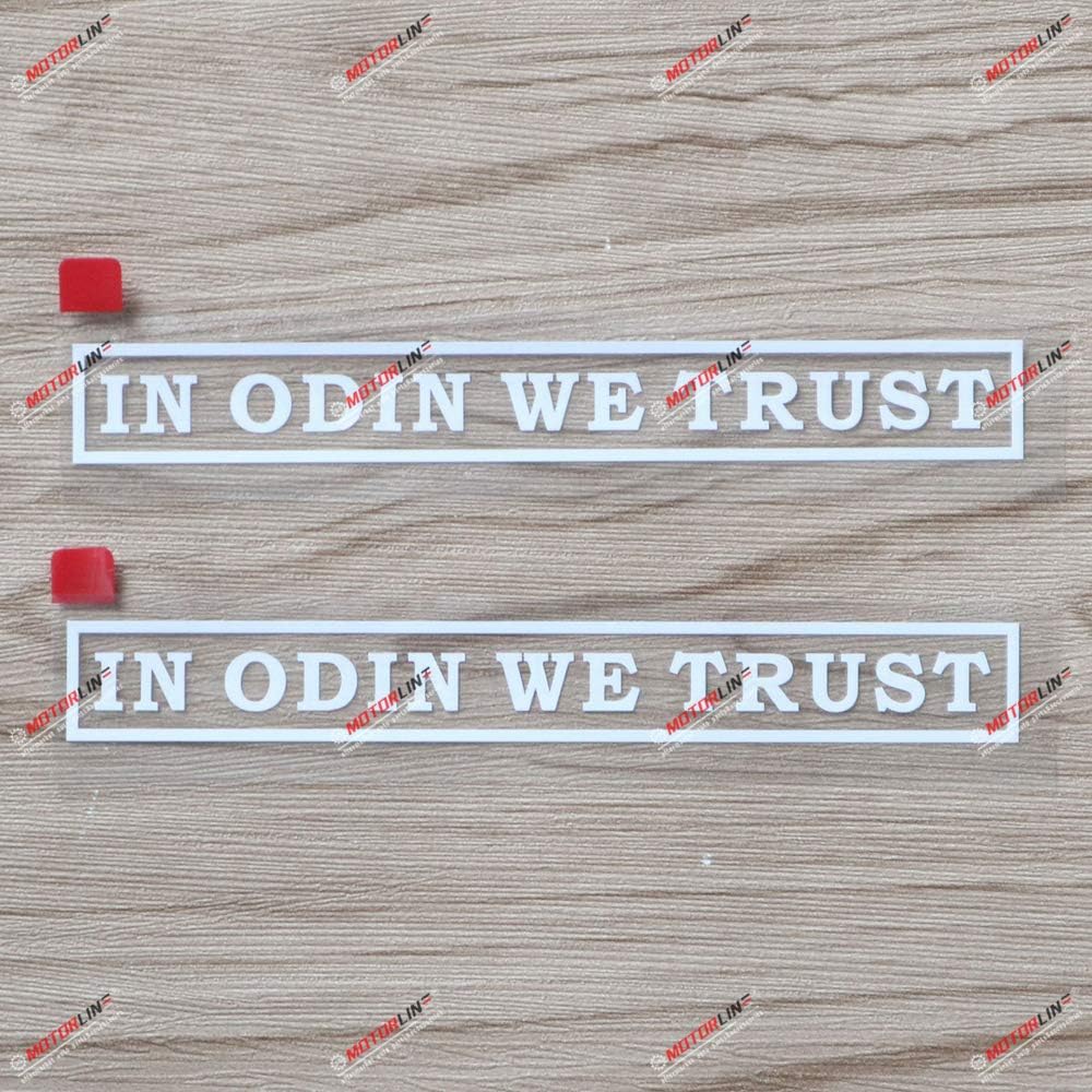 

2X Silver 6 in Odin We Trust Decal Sticker Norse Viking Letters белый
