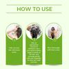 Rosemary Deep Hydrating Shampoo - Repairs, Strengthens All Hair Types 3.38 Fl oz