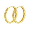 Retro Double Row Zirconia Gold Plated Hoop Earrings – Blogger Style