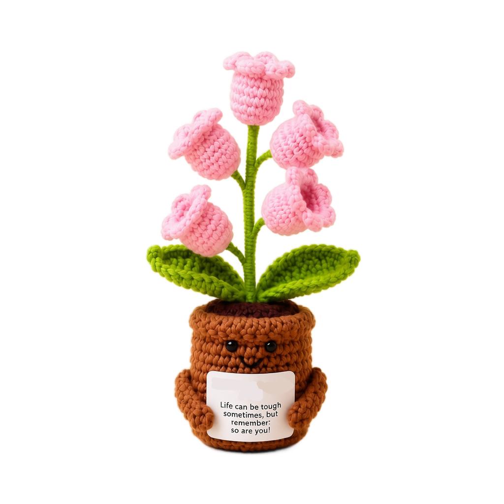 of the Night Light – Potted Plant Decoration with Encouragement Card