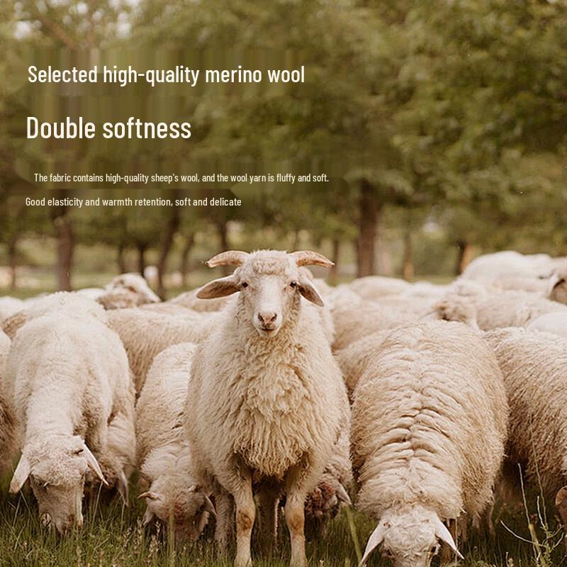 Caizi Men's Casual Jacket 22251E0122