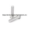ISO7380 304 Stainless Steel Pan Head Hex Socket Bolt, M4-M12