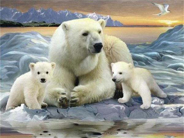 Full Square/round Diamond Painting Embroidery Polar Bear Home Decor Mosaic Cross Stitch Arctic Animal Wall Sticker