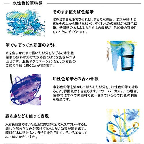 Faber-Castell Watercolor Pencils, 24 Colors, Red Tin (Parallel Import)