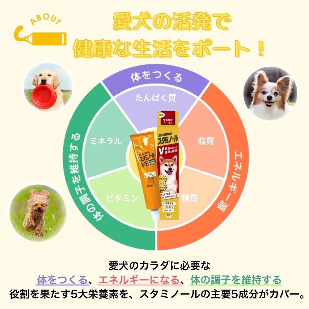 Earth Pharmaceutical Staminol V for Dogs 100g