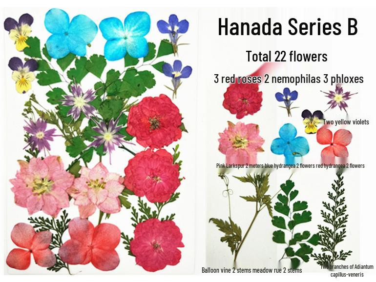 Handmade Kindergarten Collage: Real Dried Leaf and Flower Stickers for Face and Photo Decoration