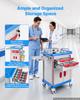 Medical Cart 110 kg Max Load Medical Trolley Cart with Cabinet, for Hospital, Clinic, Laboratory, Stable Support, with 2 Drawers, Silent Rolling
