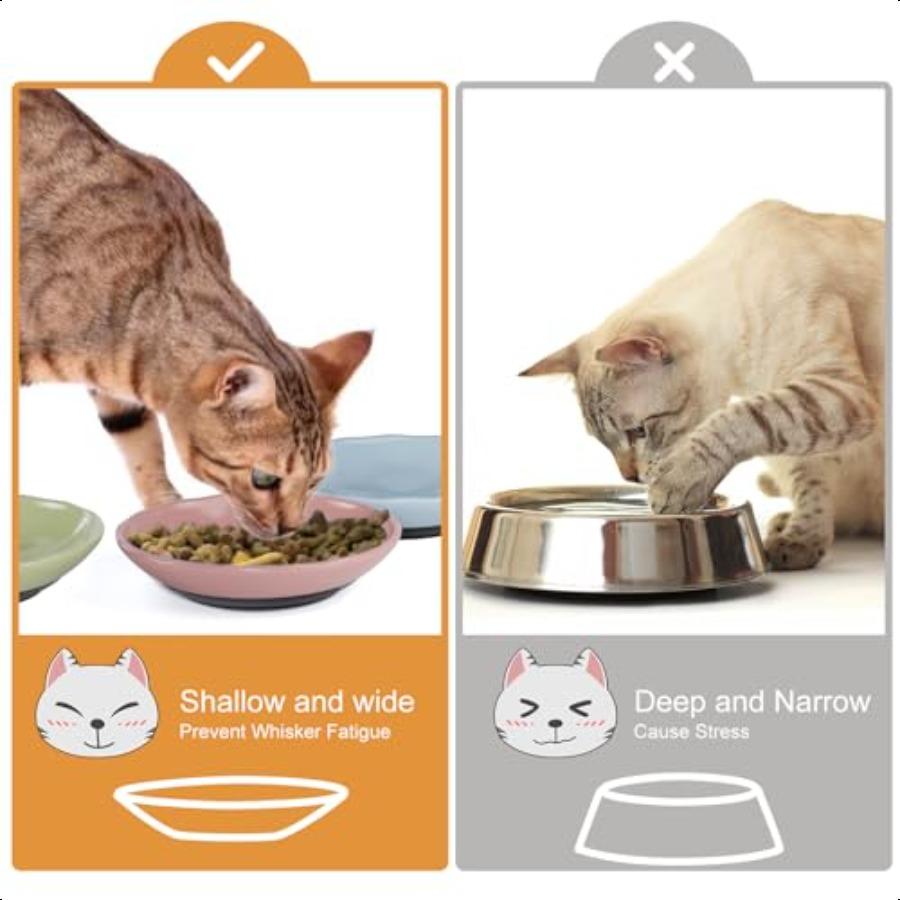 Cat BowlsCeramic Cat Food Bowl Whisker Fatigue for Indoor Cats Ceramic Shallow Cats Dishes for Food and Water with NonSlip Sili