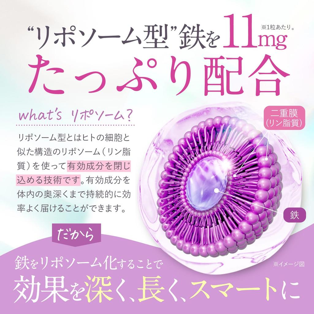 [Doctor Supervised] High-Concentration Liposomal Iron 11: High Absorption, Liposomal Iron 11mg, Folic Acid 240 G, Vitamin B12 2.4 G, 30 Tablets