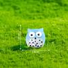 10Pcs/lot Cute Luminous Owl Animal Miniatures Mini Figurine Glow In the Dark Ornaments Fairy Garden Decoration Micro Landscape
