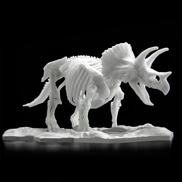 Dinosaur Model Kit Rymax Skeleton Triceratops, Korean popular bandai