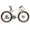 Fafrees F1 Electric Bike, 250W Motor, 36V 10AH withBattery, CST 700C*38C Tires, 25km/h Max Speed, 90km Max Range, Dual Mechanical Disc Brakes