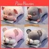 Cute Pig Cartoon Mouse Hamster Bed Pillow Girls Office Lunch Plush Toy Gift