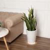 Boao 2 Pcs 12 Inch Cork Plant Coaster Cork Mat Trivet for Plant Round Absorbent Corkboard Mat Pad Planter Saucers for Kitchen Dining Table Countertop