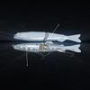 Wobbler Fishing Lure Pike Zander Catfish Imitates Roach Xxxl 68G 18.5Cm