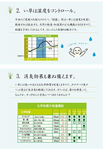 IKEHIKO Corporation IKEHIKO Shiranui Igusa Rug, Honma 1 Tatami Size (approx. 95 X 191 Cm), Made In Japan, Checkered Weave, Cypress Finish #6300181