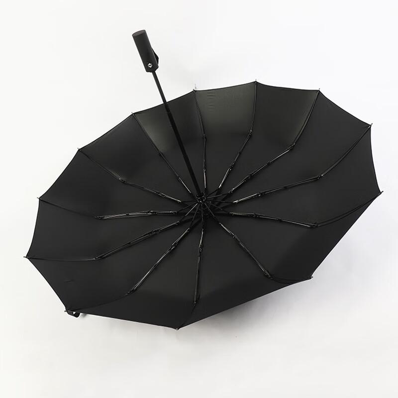 Lilang 12-Rib Automatic Folding Umbrella