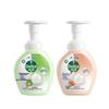 Dettol Foam Antibacterial Hand Wash Dual Scent Pack