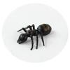 10 Stück Kreative Scherzartikel für den 1. April Gruselige Spoof Interaktionsspielzeuge Neuheit Halloween Fake Riesenameisen-Spielzeug Lustiges Realistisches Scherz-Insektenmodell