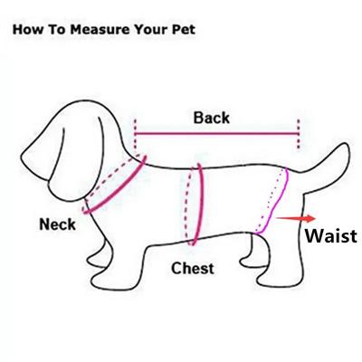Dog Physiological Pants Female Dog Shorts Panties Underwear Chihuahua Poodle Bichon Pug French Bulldog Menstruation Diaper