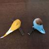 Good Morning Bird Series Gashapon Toys Budgerigar Cockatiel Lovebird Action Figure Model Ornaments Toys