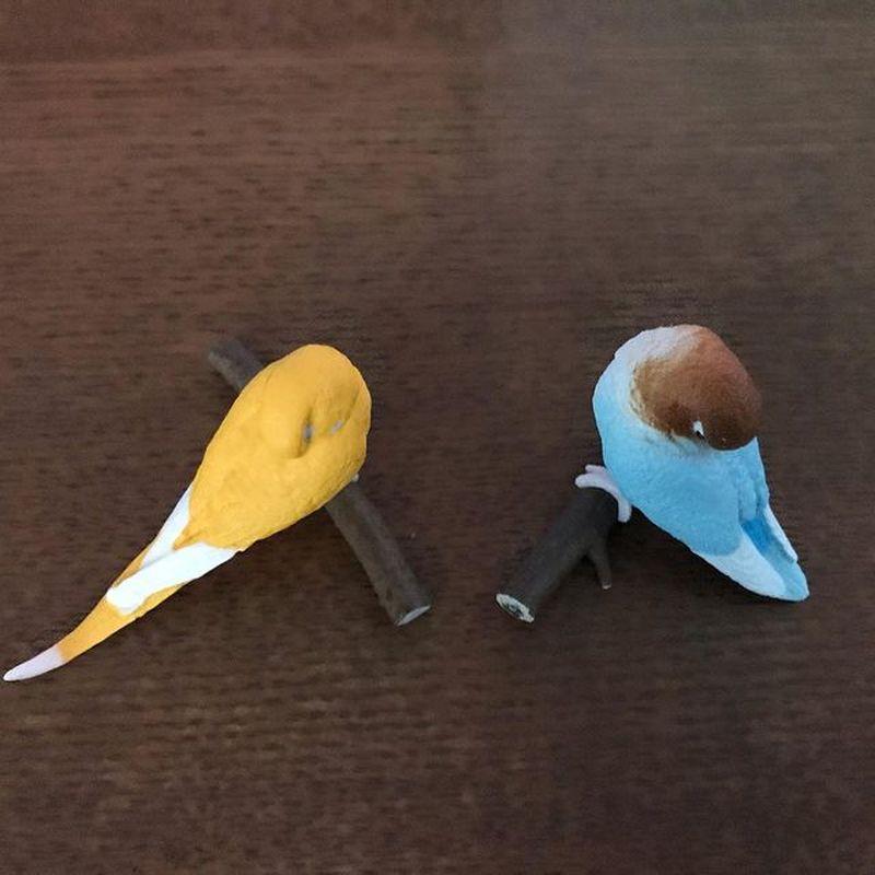 Good Morning Bird Series Gashapon Toys Budgerigar Cockatiel Lovebird Action Figure Model Ornaments Toys