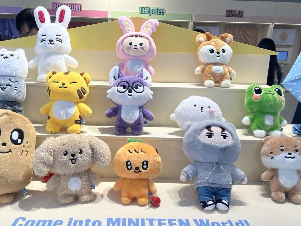 [USED] SEVENTEEN Jeonghan MINITEEN Pop-Up Plush Toy