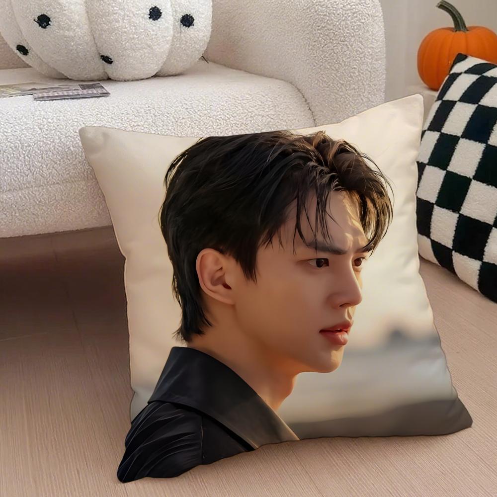 Handsome Charming Korean Actor SSong Kang Cushion Cover Throw Pillow Cover Hidden Button Durable Polyester Chair Cushion