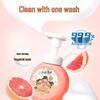 Imported Foaming Antibacterial Hand Soap