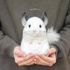 Yoshitoku Riku No Friends Chinchilla Plush Toy 18.5cm FREESHIP JAPAN F/S