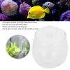 Glass Transparent Crystal Clear Aquarium Water Plant Grass Planting Pot Fish Tanks Decoration Supplies