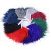 Feather2/5/10Meters 10-15CM Light Color Ostrich Feathers Trim Ribbon Plumes Selvage Tassel for Wedding Skirt Dress Sewing Accessories