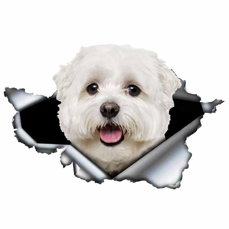 LYKX Lovely Maltese Pet Dog Car Sticker Decoration Waterproof Window Boot Decal Motorcycle Cover Scratch PVC Decals