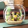 Round Fish Tank Transparent Round Ornamental Fish Tank Portable Small Fish Bowl Small Ornamental Home Decor for Ornamental Fish