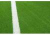 Artificial Grass Turf Wall Decoration for Fruit Store and Sunroom