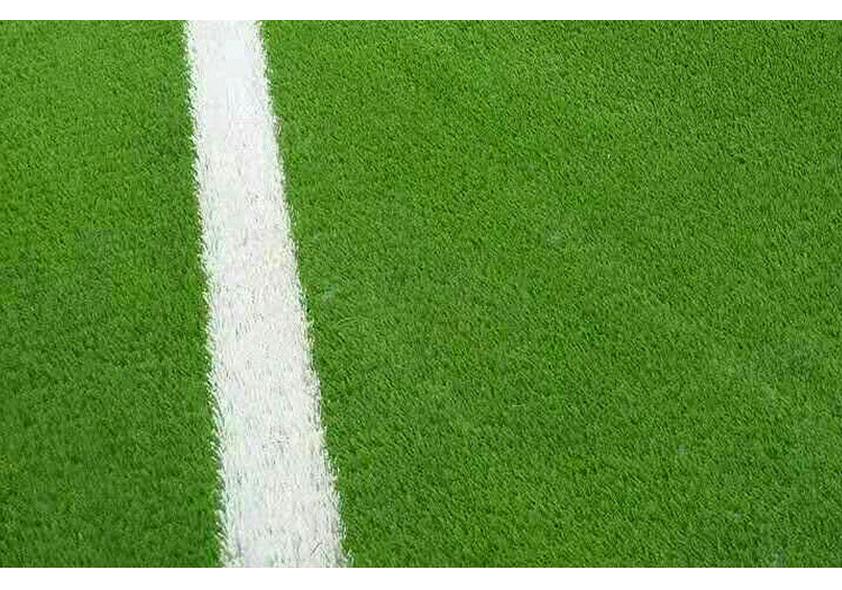 Artificial Grass Turf Wall Decoration for Fruit Store and Sunroom