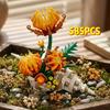 585pcs Sea Shell Flower Building Blocks Chrysanthemum Conch Model Bricks 3D Puzzle Nature Art Decor DIY Toy Gift for Adults Teen