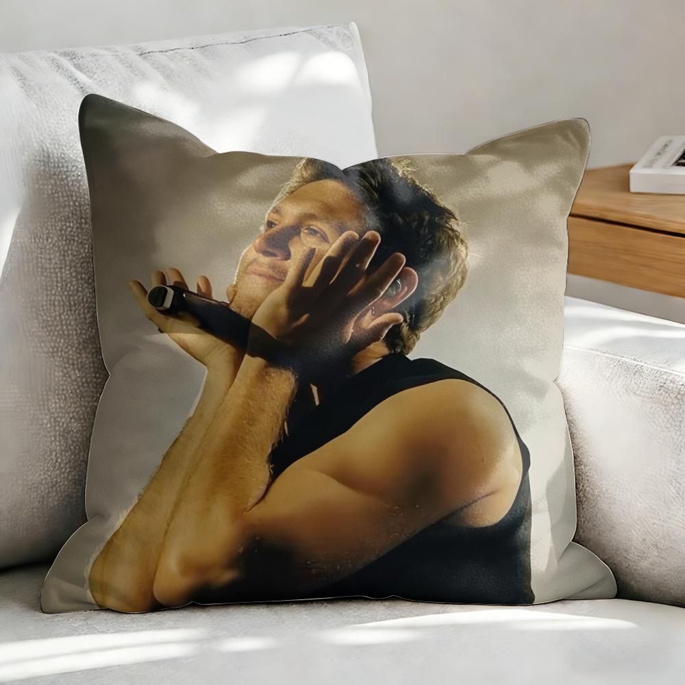 NNiall HHoran Pop Singer Cushion Cover Soft Plush Fabric DoubleSided Printed Sofa Cushion Cover for All Seasons Home Decor