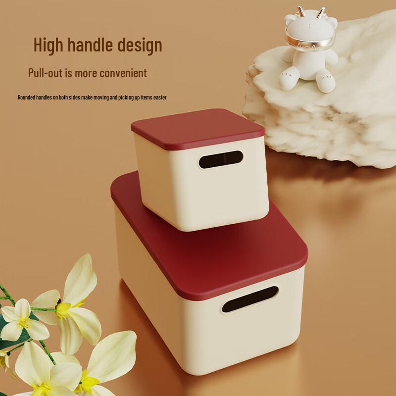 Household Storage Box with Lid