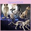 Accesorii de petrecere – Accesorii de Halloween