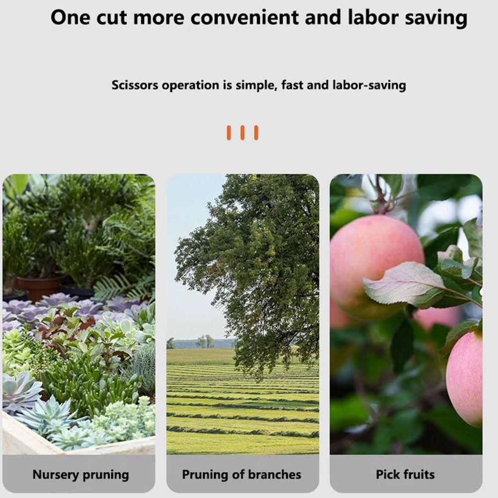 Sharp Garden Scissors Labor Saving Grape Scissors Multifunctional Pruning Shears Pruners