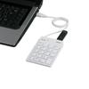 BUFFALO Wired Slim Ten Keyboard with Hub Black BSTKH08BK